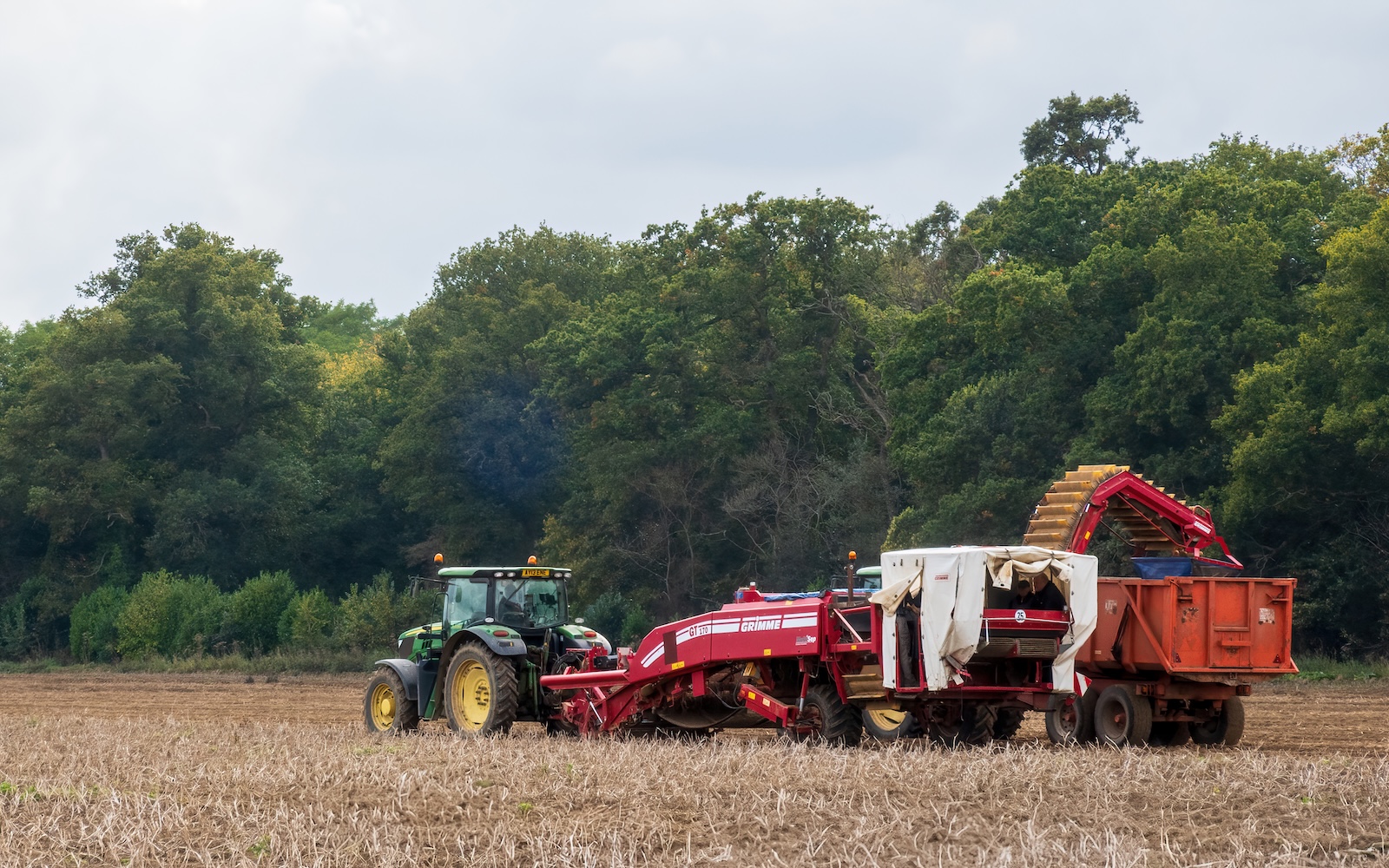 Potato Harvest Under Way - Pat Ainger